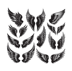 Obraz premium wings icon set Collection Vector illustration