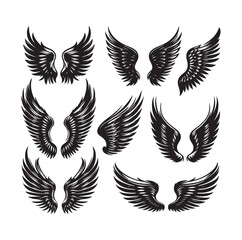 wings icon set Collection Vector illustration