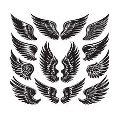 wings icon set Collection Vector illustration