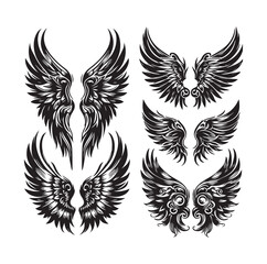 wings icon set Collection Vector illustration