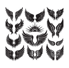 wings icon set Collection Vector illustration