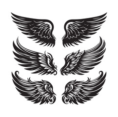 wings icon set Collection Vector illustration