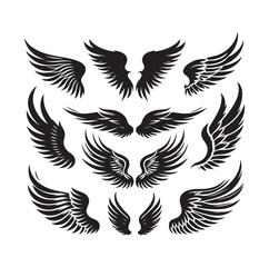 wings icon set Collection Vector illustration