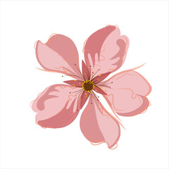 A delicate, modern flower illustration with elegant petals and thin lines. Soft pink, yellow, and white hues give it a romantic look. Transparent background makes it versatile for design projects.