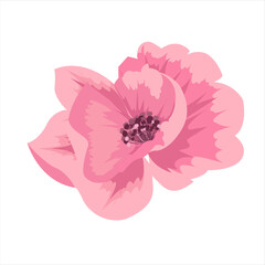 A delicate, modern flower illustration with elegant petals and thin lines. Soft pink, yellow, and white hues give it a romantic look. Transparent background makes it versatile for design projects.