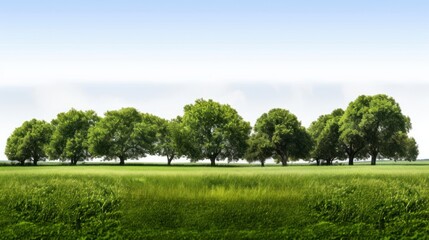 Naklejka premium Farmfields landscape trees grassland outdoors nature.
