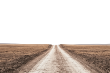 A single dirt road leads towards a green sky, with dry brown fields on both sides.