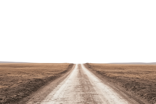 A single dirt road leads towards a green sky, with dry brown fields on both sides.