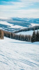 Obraz premium A stunning winter vista featuring heavy snow on a dense pine forest, illuminated by sunlight beneath a cloudy sky from the top of a ski slope