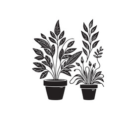 Obraz premium Black and white Flower silhouette vector on white background