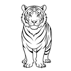 Fototapeta premium Tiger illustration, fierce style, black and white