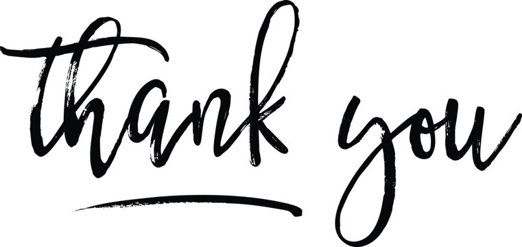 Black Thank you text script typography, hand written custom calligraphy isolated on white. Great for cards, wedding invitations, social media banners, headers Adobe Illustrator Artwork