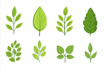 Green leaves set  flat style cartoon design