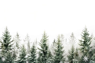 Serene snowy evergreen forest landscape