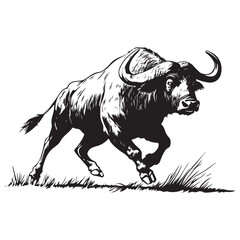 Mascot of running angry buffalo, Clean Black and white Vector silhouette of a Buffalo