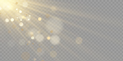 Vector transparent sunlight special lens flare light effect. PNG. Vector illustration