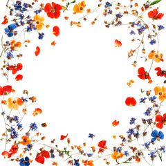 Obraz premium Vibrant floral border isolated on a transparent background