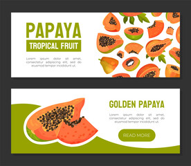 Papaya Fruit Label Design with Cut Section with Seeds and Orange Pulp Vector Template