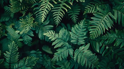 Abstract leaves background, a pattern that mimics nature's textures. Colorful plant texture, a representation of leaf design.