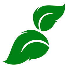 shape collection different green leaves of tree, plants, leaf and swirls branches. Stock vector icon, isolated white background. Element for ecographic, natural design, vegan logo, bio labels