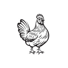 chicken vector icon logo black design simple flat style template on white background