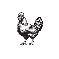 chicken vector icon logo black design simple flat style template on white background