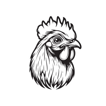 Rooster logo, chicken head mascot, black and white, vintage design template vector illustration