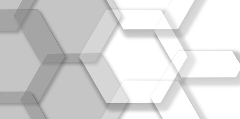 Luxury white and grey hexagonal abstract background with shadow. Geometric 3d texture illustration. Abstract hexagonal concept technology, banner and wallpaper background. 