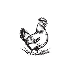 Cock vector icon isolated on white background