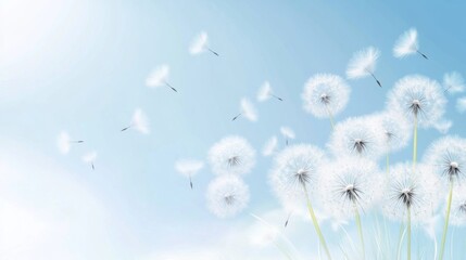 Obraz premium Aesthetic Minimalism: Dandelion Fluff Background