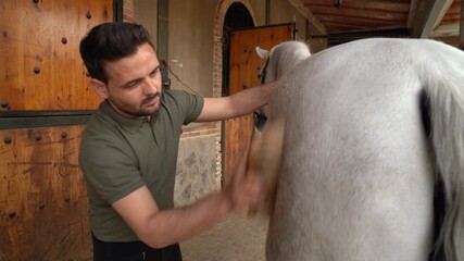 Stable hand brushing a white horse on the side. Animal welfare concept