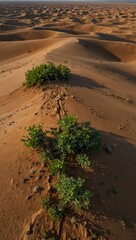 Aerial view of springtime Kyzylkum desert with soft lighting before rain.
