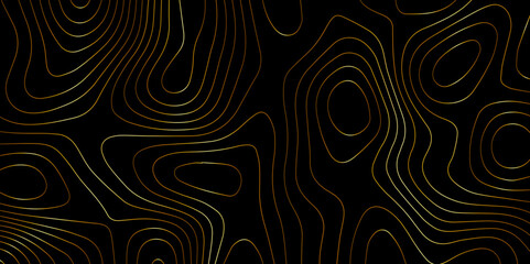 Abstract wave paper curved reliefs background .gradient multicolor wave curve lines banner background design .topographic contours map background .Vector geographic contour map.	