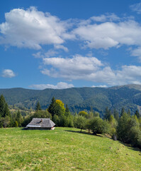 Wooden old village house on a picturesque green meadow against the background of the...