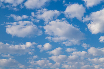 Obraz premium Sky. White cumulus clouds on a clear blue sky.