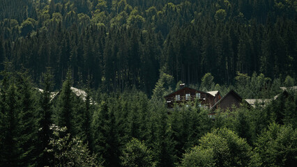 Nestled within a dense forest, these cozy cabins offer a tranquil escape from the hustle of...
