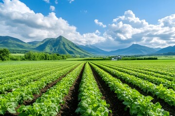 Thriving Organic Farm Powered by Renewable Energy and Sustainable Practices