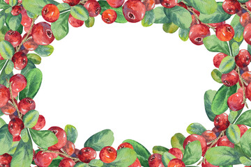 Watercolor botanical illustration frame of lingonberry twigs with green leaves. Hand drawn round frame of lingonberry twig.