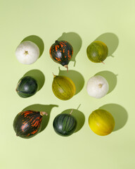 Pattern with different types of squash - yellow summer squash, watermelon and orange pumpkins on a green background