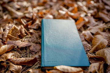 Retro Green Hardcover Book on Autumn Leaves in a Forest Setting