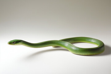 Obraz premium Green snake representing Chinese New Year 2025, symbolic, vibrant, festive concept