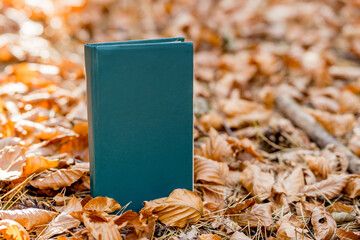 Retro Green Hardcover Book on Autumn Leaves in a Forest Setting