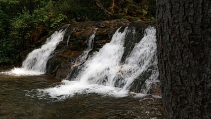 Fototapeta premium Tranquil Waterfall Surrounded by Nature