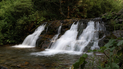 Fototapeta premium Hidden Forest Waterfall Surrounded by Greenery