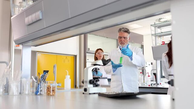 Mature scientist teaching his young female colleague at the lab