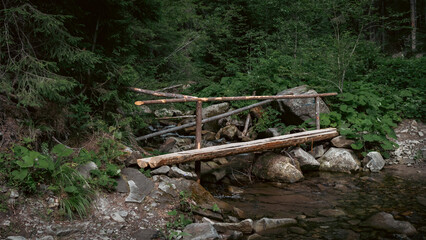 Hand-Built Wooden Bridge in a Mountain Forest