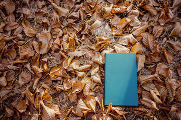 Retro Green Hardcover Book on Autumn Leaves in a Forest Setting