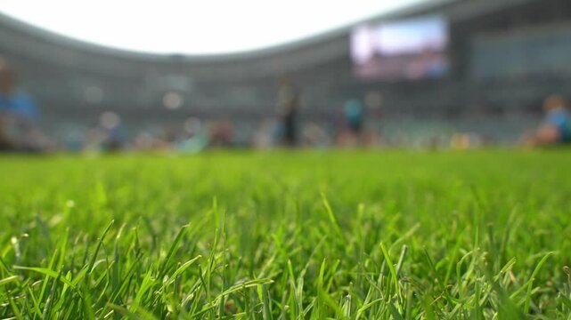 Stadium arena background. Green sport stadium lawn macro video.