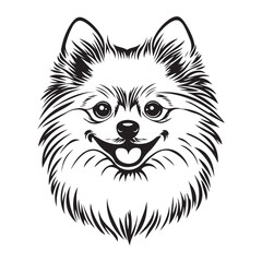 Pomeranian Face, Pomeranian dog breed Cute cartoon vector clipart Design, Silhouettes Dog Face, black and white Pomeranian vector