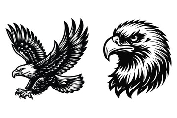 Eagle silhouette vector illustrations